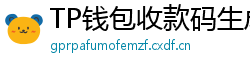 TP钱包收款码生成教程｜微信/支付宝风格自定义